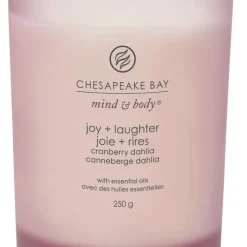 Chesapeake Bay tuoksukynttilä Joy & Laughter M