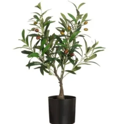 4Living oliivipuu ruukussa 60 cm